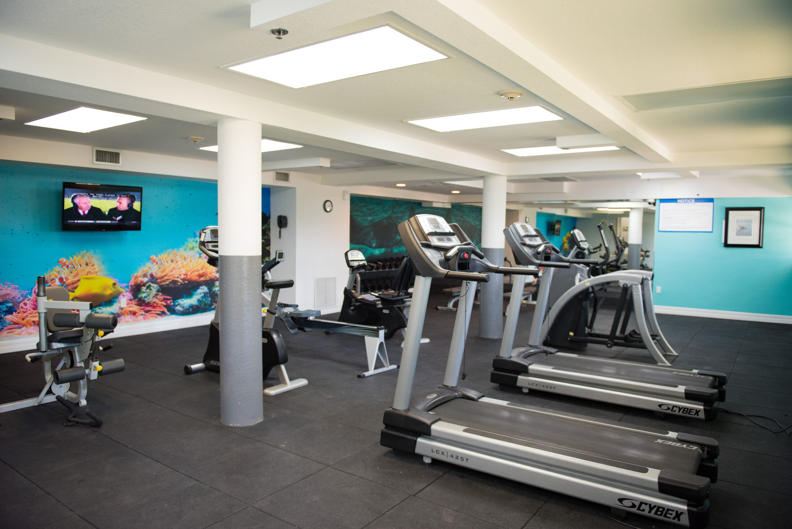Gym