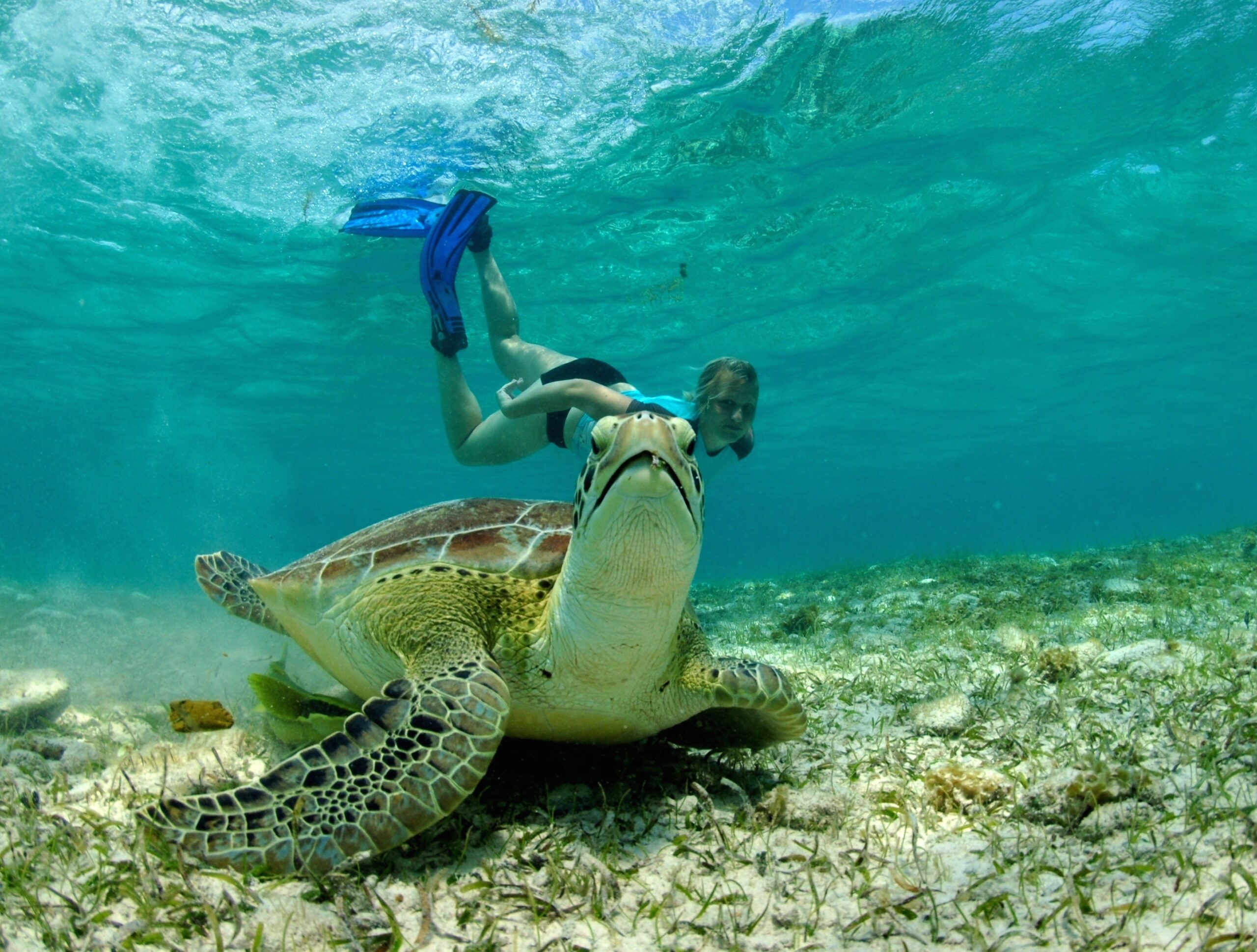 Outdoor adventures and attractions near Mizpah vacation rental in West Bay